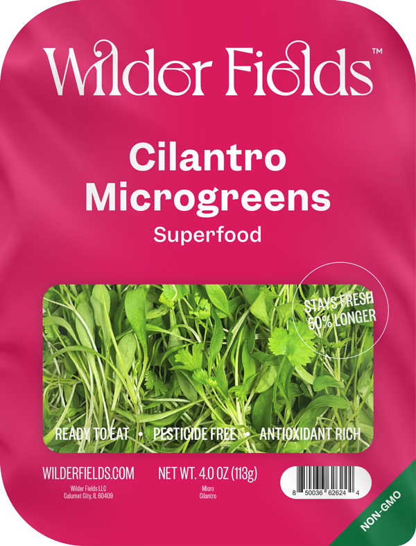 Cilantro Microgreens